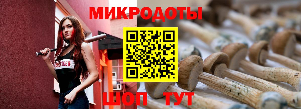 Галлюциногенные грибы Cubensis Орск