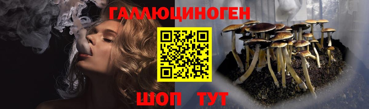 Орск  Псилоцибиновые грибы мухоморы  Вход с VPN 