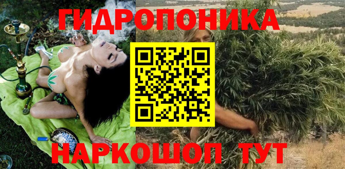 Бошки Шишки THC 21%  Вход с VPN  Орск  Бошки Шишки индика 